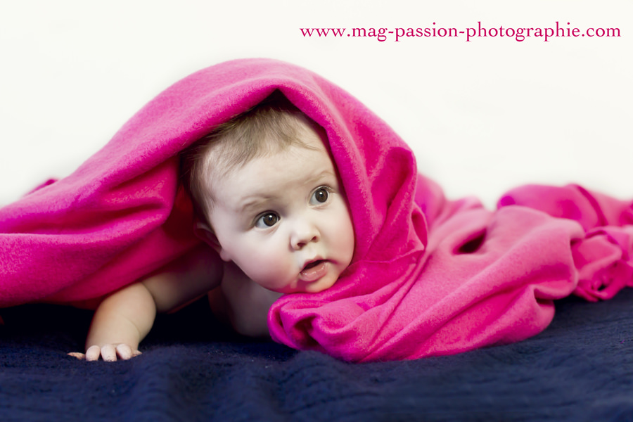 IMG_3529 as Smart Object-1